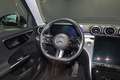Mercedes-Benz C 200 T AMG/KAMERA/LED/SHZ/TOTWINKEL Zwart - thumbnail 21