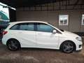 Mercedes-Benz B 200 Classe B - T246 d (cdi) Executive auto Blanc - thumbnail 4