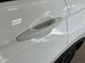 Volkswagen Tiguan 1.5 TSI Life 110kW Blanco - thumbnail 12