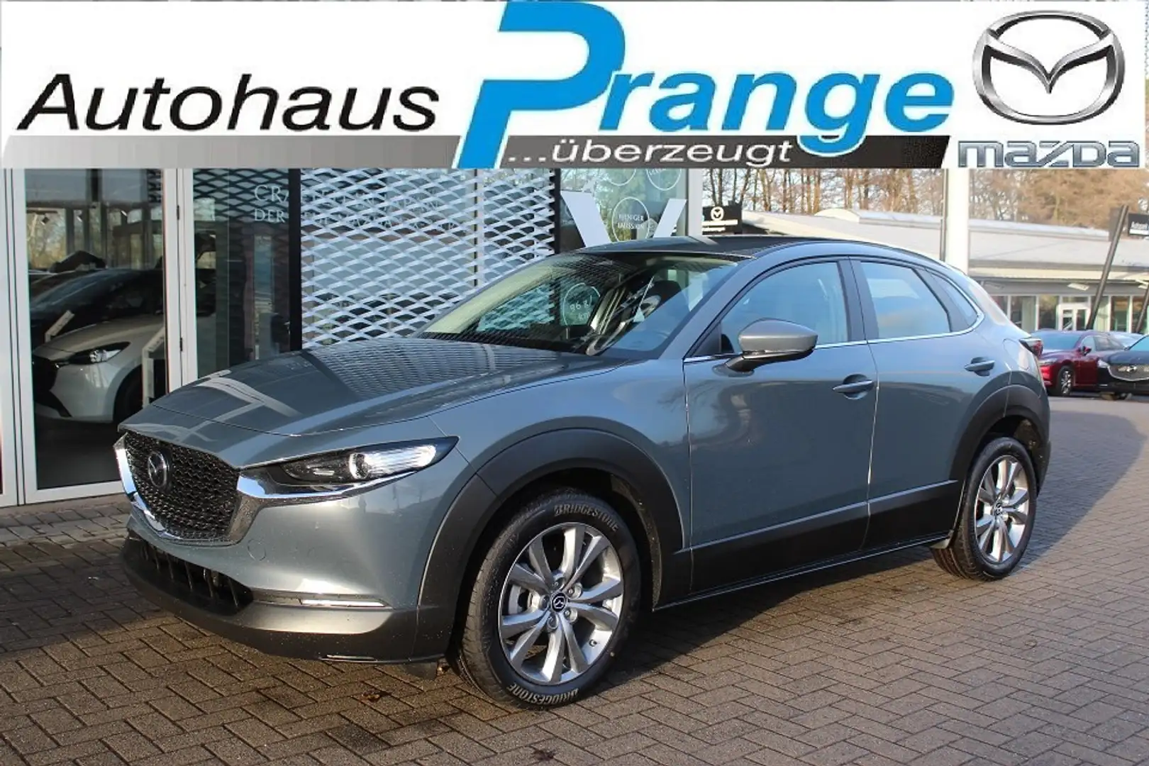 Mazda CX-30 M-Hybrid Exclusive-Line G-140 Allwetter 360° MATRI Grau - 1