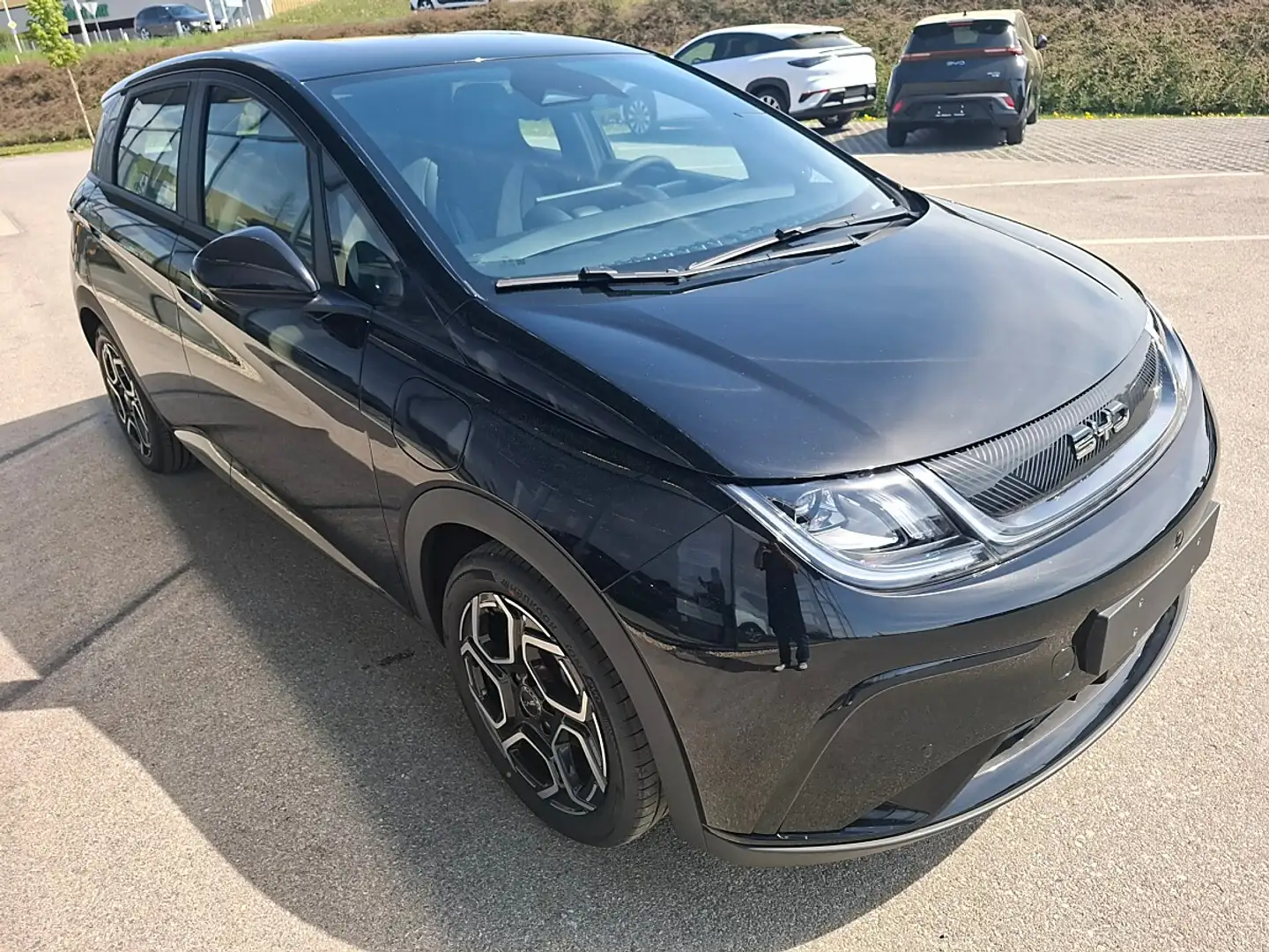 BYD Dolphin 60,4 kWh Comfort Österreich Paket Schwarz - 2