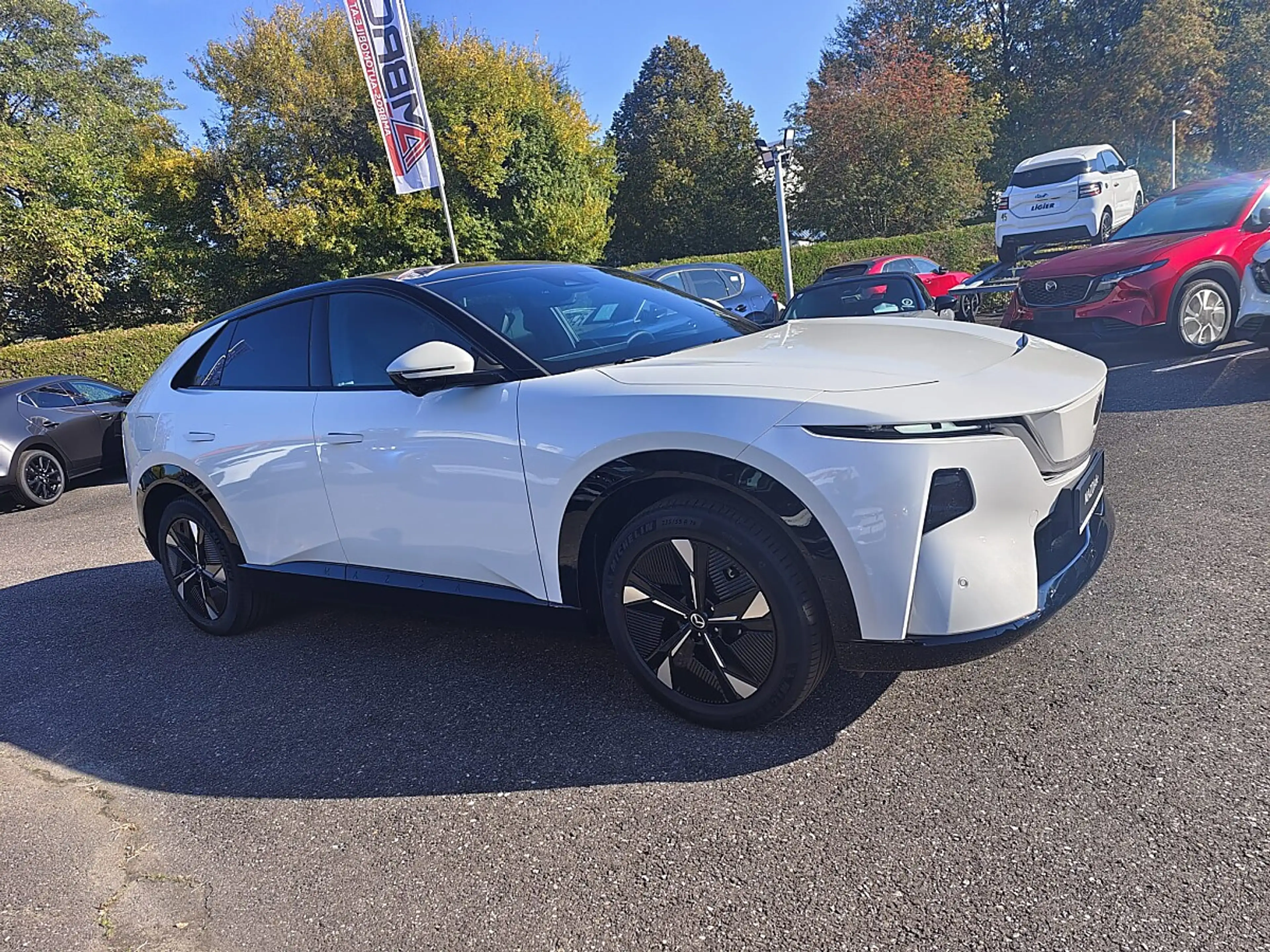Mazda CX-6e Mazda CX-6e 78kWh Takumi LAGER-AKTION — photo 9
