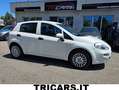 Fiat Punto 1.2 5 porte EURO6 PROMO 1500 NEOPATENTATI PERMUTE Blanc - thumbnail 1