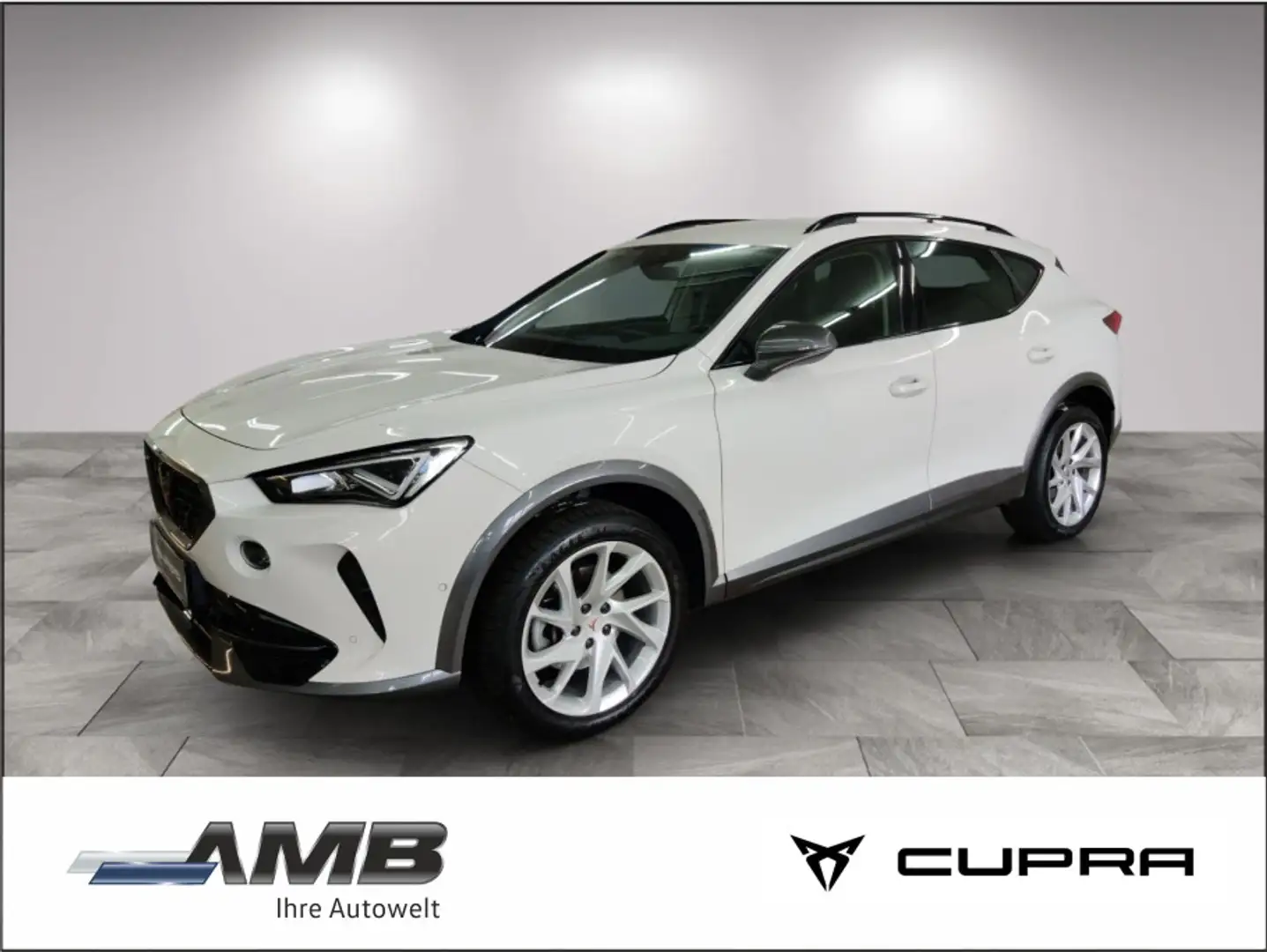 CUPRA Formentor 2.0 TDI 4Dr. DSG/AHK/Nav/Standhzg/360° Weiß - 1