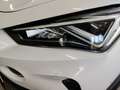 CUPRA Formentor 2.0 TDI 4Dr. DSG/AHK/Nav/Standhzg/360° Weiß - thumbnail 17