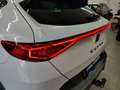CUPRA Formentor 2.0 TDI 4Dr. DSG/AHK/Nav/Standhzg/360° Weiß - thumbnail 20