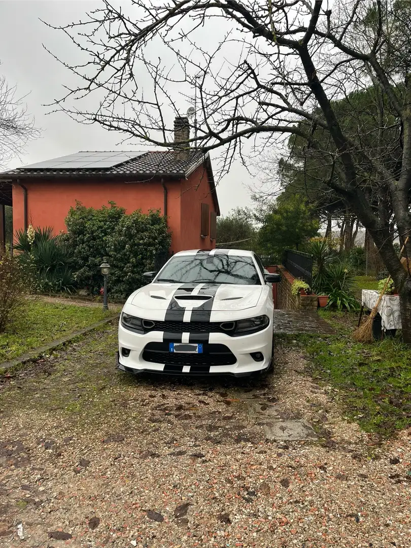 Dodge Charger 3.6 V6 White - 2