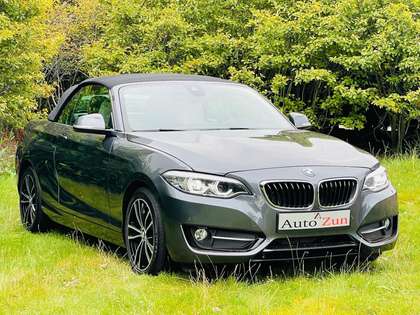 BMW 230 2-serie Cabrio 230i High Executive/Navi/Leder(Bij
