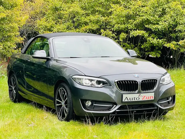 BMW 230 2-serie Cabrio 230i High Executive/Navi/Leder(Bij