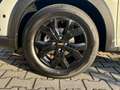 Dacia Sandero Sandero Stepway 1.0 tce Expression UP Eco-g 100cv Blanc - thumbnail 9