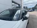 Volkswagen T-Roc LIFE - 115 PS - Automatik NEU nur € 31.999,-* Weiß - thumbnail 24