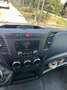 Iveco - thumbnail 7