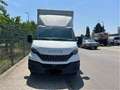 Iveco - thumbnail 3
