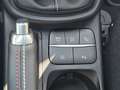 Ford Puma 1.0 EcoBoost Hybrid ST-Line X 125pk | Driver Assis Mauve - thumbnail 27