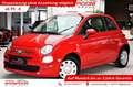 Fiat 500 Pop Mild-Hybrid Sonderfarbe 1.Hand Isofix Rot - thumbnail 1