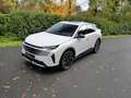 Peugeot 3008 3008 Hybrid 136 e-DSC6 Allure Blanc - thumbnail 20