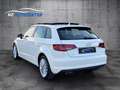 Audi A3 Sportback ambiente 2.0 TDI*PANO*NAVI*PDC*TOP Blanco - thumbnail 5