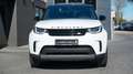 Land Rover Discovery DISCOVERY 5 P300 Si4 AWD SE*PANO*7-SITZER*AIR* Alb - thumbnail 15