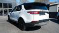 Land Rover Discovery DISCOVERY 5 P300 Si4 AWD SE*PANO*7-SITZER*AIR* Alb - thumbnail 14