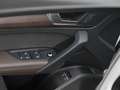 Audi Q5 50 TFSIe Q SPORT LUFT PANO LEDER LM21 Weiß - thumbnail 9
