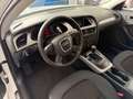 Audi A4 allroad A4 allroad 2.0 TDI F.AP. Blanc - thumbnail 8