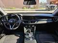 Alfa Romeo Stelvio 2.2 T.diesel 190 CV AT8 Q4 Blu/Azzurro - thumbnail 11