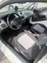 SEAT Ibiza Coupé 1,2L Pickerl 4/27 - thumbnail 10