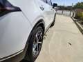 Kia Sportage Sportage 1.6 T-GDi MHEV Tech 150 Tech Blanco - thumbnail 16