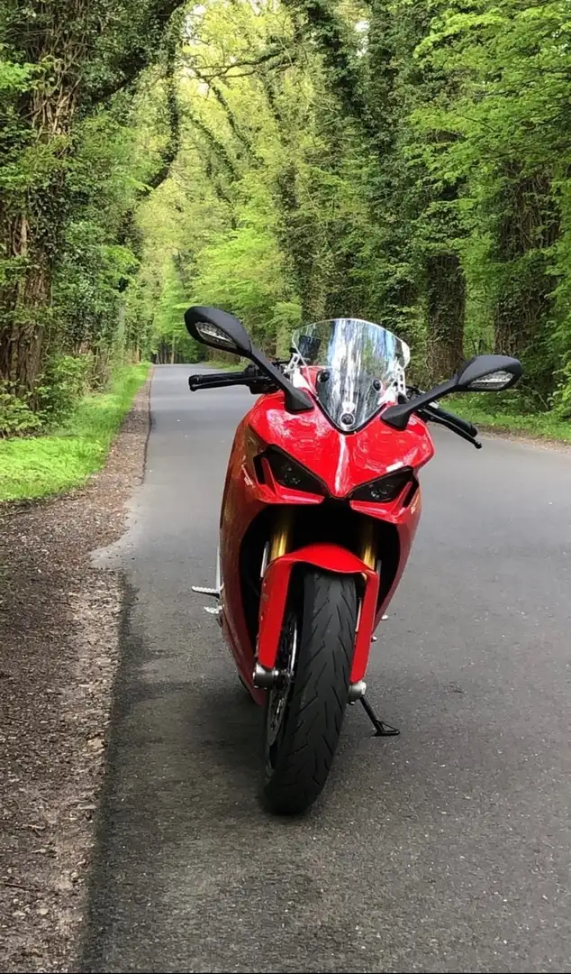 Ducati SuperSport 950 S Rot - 2