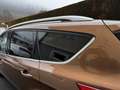 Ford Kuga 2,0 TDCi Trend Pickerl bis 12/26 Braun - thumbnail 10