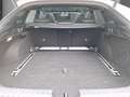Kia ProCeed / pro_cee'd GT-Line Leder JBL MemorySitz Panodach Wit - thumbnail 5