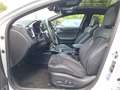 Kia ProCeed / pro_cee'd GT-Line Leder JBL MemorySitz Panodach Wit - thumbnail 34