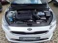 Kia ProCeed / pro_cee'd GT-Line Leder JBL MemorySitz Panodach Wit - thumbnail 14