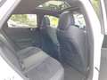 Kia ProCeed / pro_cee'd GT-Line Leder JBL MemorySitz Panodach Wit - thumbnail 37