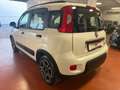 Fiat Panda Panda 1.0 firefly hybrid City Life s Bianco - thumbnail 6