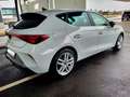 CUPRA Leon Leon 1.5 TSI 150 PS ACT Cupra Cupra Weiß - thumbnail 2