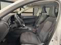 Renault Arkana Evolution TCe 103kW(140CV) EDC mild hybr Blanco - thumbnail 15