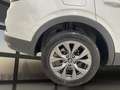 Renault Arkana Evolution TCe 103kW(140CV) EDC mild hybr Blanco - thumbnail 10