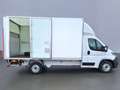 Fiat Ducato CC 180pkS L3 3.5t automaat 7-traps BAKWAGEN + LAAD Wit - thumbnail 8