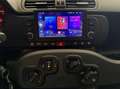Fiat Panda Panda III 2021 1.0 firefly hybrid City Life s Grigio - thumbnail 11