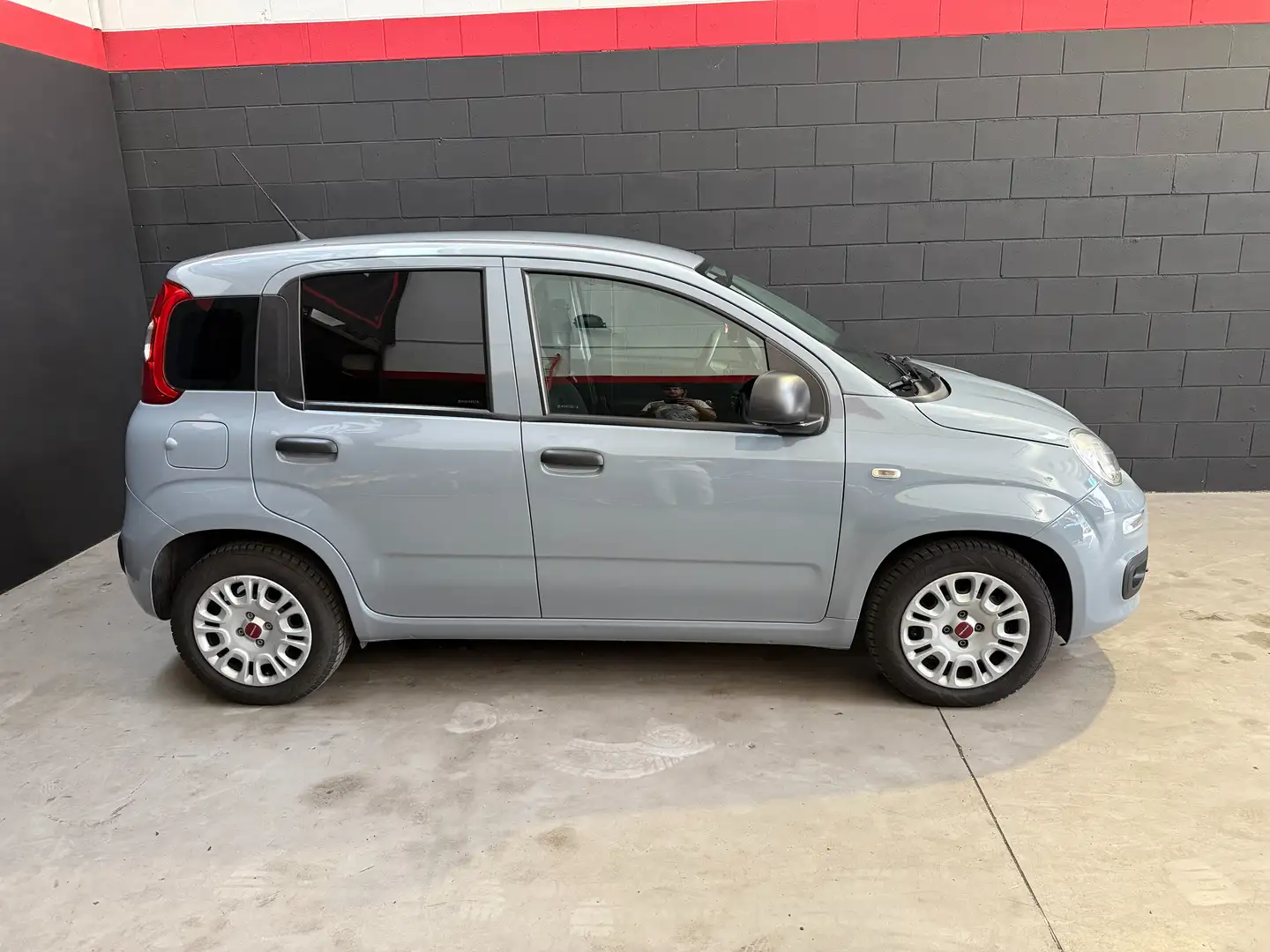 Fiat Panda Panda III 2021 1.0 firefly hybrid City Life s Grigio - 2