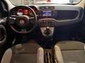 Fiat Panda Panda III 2021 1.0 firefly hybrid City Life s Grigio - thumbnail 8