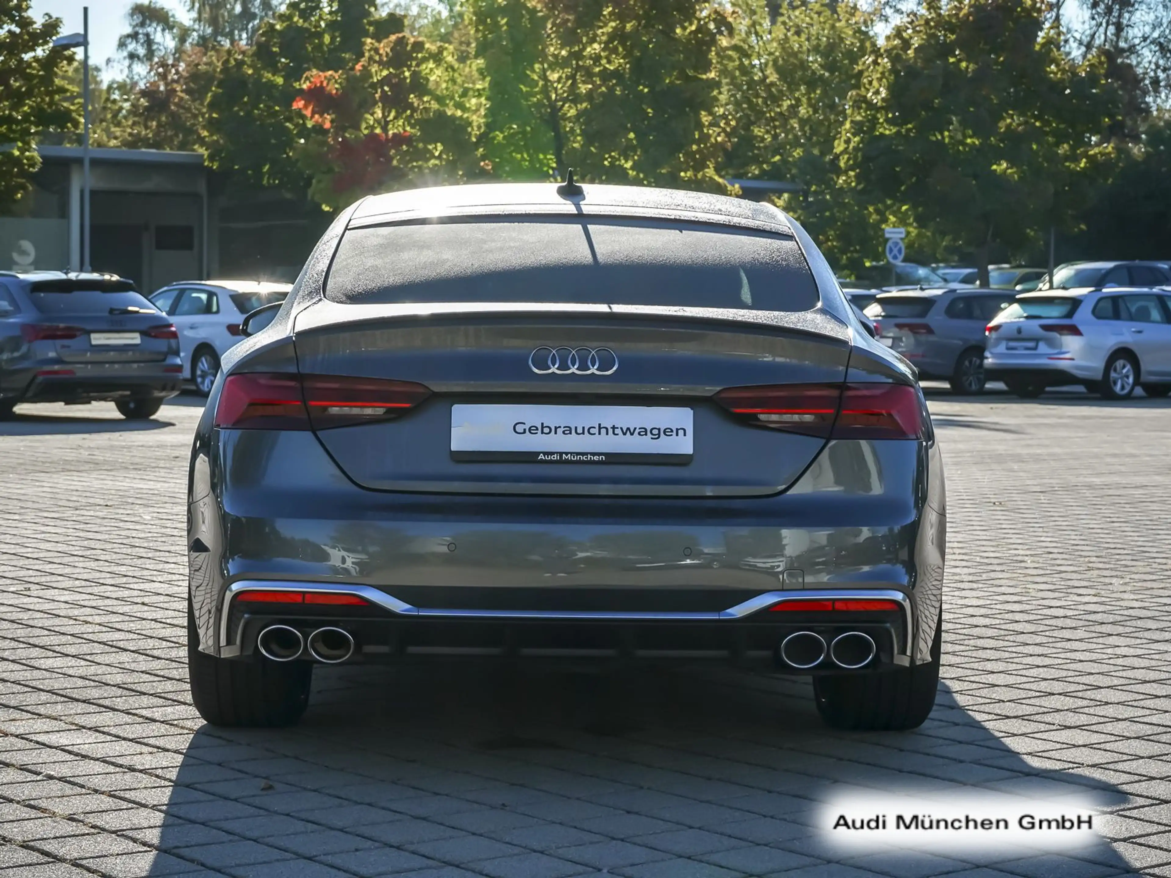 Audi S5 TDI tiptr. B&O/Matrix/Navi+/Kamera — photo 9