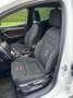 SEAT Ibiza 1,0 ECO TSI FR - thumbnail 7