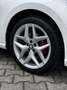 SEAT Ibiza 1,0 ECO TSI FR - thumbnail 12