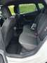 SEAT Ibiza 1,0 ECO TSI FR - thumbnail 8