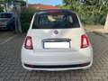 Fiat 500C 1.0 HYBRID SPORT 70CV  47000KM Bianco - thumbnail 3