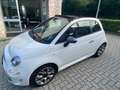 Fiat 500C 1.0 HYBRID SPORT 70CV  47000KM Bianco - thumbnail 4