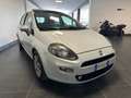 Fiat Punto Evo PUNTO EVO 1.3 MJT TETTO FULL 85CV PRONTA CONSEGNA Grau - thumbnail 5
