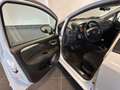 Fiat Punto Evo PUNTO EVO 1.3 MJT TETTO FULL 85CV PRONTA CONSEGNA Grau - thumbnail 11